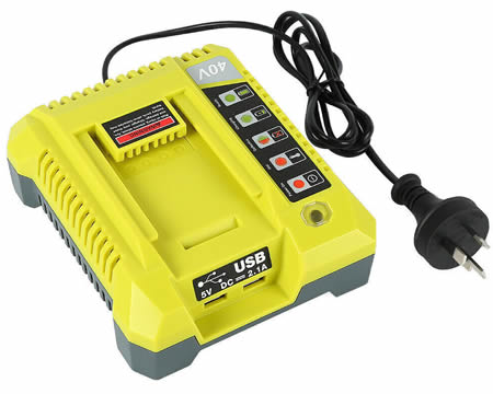 Ryobi 40V charger